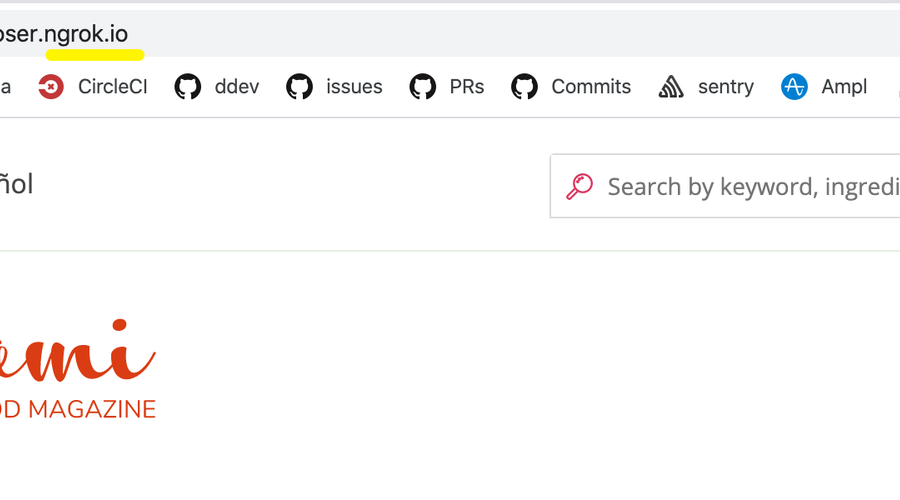 Cropped browser screenshot of a site, emphasizing the `.ngrok.io` domain name